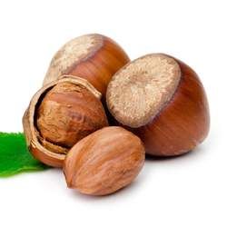 榛子的功效與作用