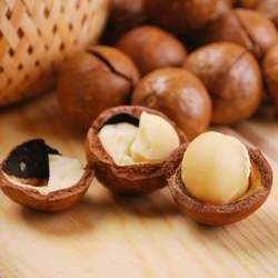 夏威夷果的功效與作用