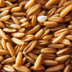 燕麥的功效與作用