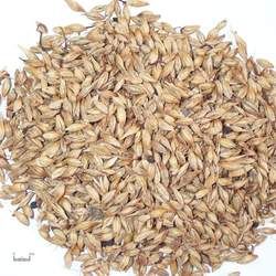 ��ѿ�Ĺ�Ч�c����