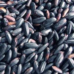 ���׵Ĺ�Ч�c����