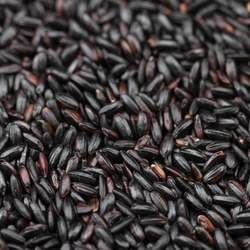 黑米的功效與作用