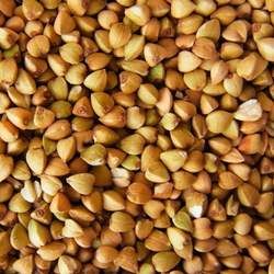 �w���Ĺ�Ч�c����