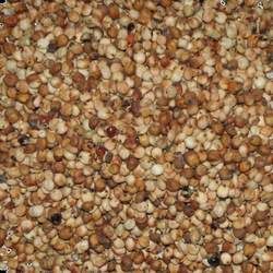 �����׵Ĺ�Ч�c����