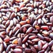 ��ѪŴ�Ĺ�Ч�c����