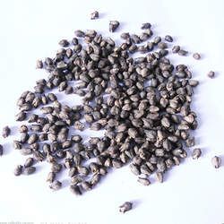 ���w���Ĺ�Ч�c����