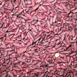 紅曲的功效與作用