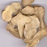 ���g(sh��)�Ĺ�Ч�c����