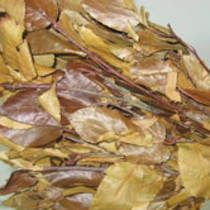 山楂葉的功效與作用