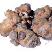 田七的功效與作用