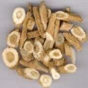 白首烏的功效與作用