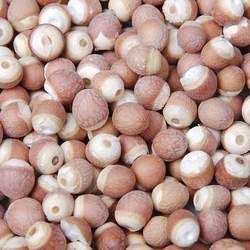 芡實的功效與作用