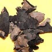 石耳的功效與作用