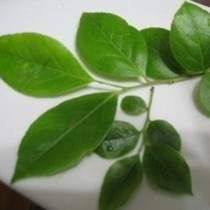 �����~�Ĺ�Ч�c����