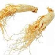 西洋參的功效與作用