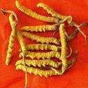 ���x(ch��ng)�ĲݵĹ�Ч�c����