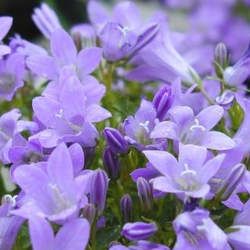 �۹��Ĺ�Ч�c����