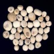 ���ĵĹ�Ч�c����