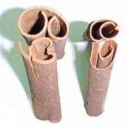 肉桂的功效與作用