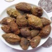 胖大海的功效與作用