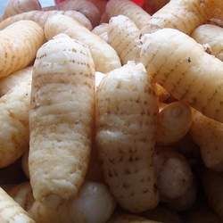 ����Ĺ�Ч�c����