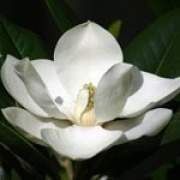 ���m���Ĺ�Ч�c����