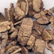 �����Ĺ�Ч�c����