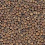 ���K�ӵĹ�Ч�c����