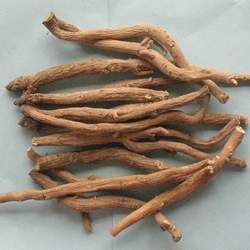 百部的功效與作用