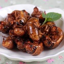 ֪����Ĺ�Ч�c����