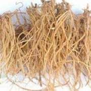 �˽z�ӵĹ�Ч�c����