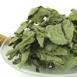 干薄荷的功效與作用