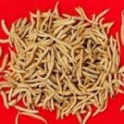 ̫�Ӆ��Ĺ�Ч�c����