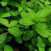 �㻨�˵Ĺ�Ч�c����