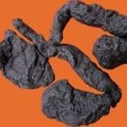 ����S�Ĺ�Ч�c����