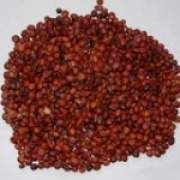 �ᗗ�ʵĹ�Ч�c����