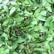 �uʺ�ٵĹ�Ч�c����