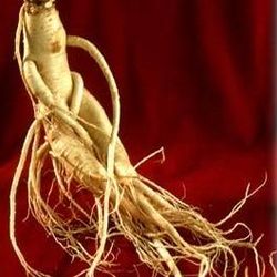 �������Ĺ�Ч�c����