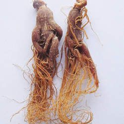 �t���Ĺ�Ч�c����