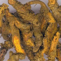 �S�B�Ĺ�Ч�c����