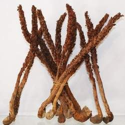 ���ϲݵĹ�Ч�c����