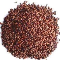 葡萄籽的功效與作用