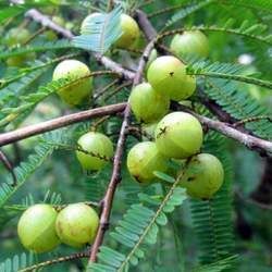 ����ӵĹ�Ч�c����