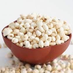 川貝的功效與作用