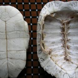 ����Ĺ�Ч�c����