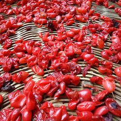 山茱萸的功效與作用