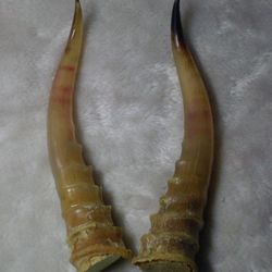 ����ǵĹ�Ч�c����