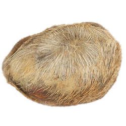 ����Ĺ�Ч�c����