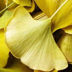 �y���~�Ĺ�Ч�c����