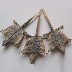 ���Ĺ�Ч�c����